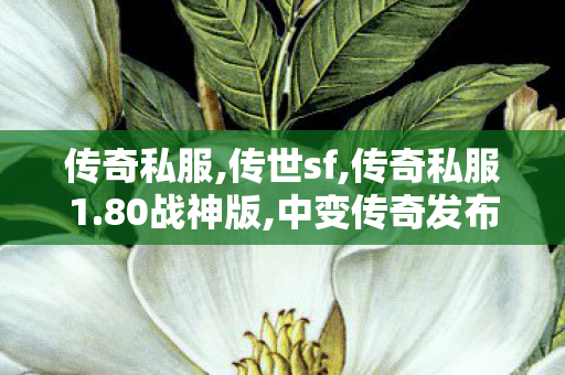 传奇私服,传世sf,传奇私服1.80战神版,中变传奇发布网,传奇私服1.80战神版