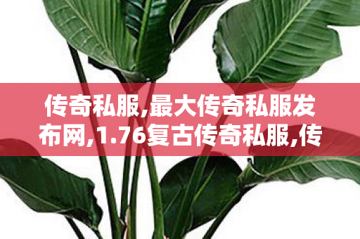 传奇私服,最大传奇私服发布网,1.76复古传奇私服,传世sf,1.76复古传奇私服