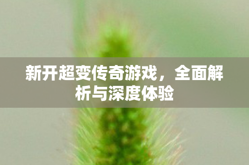 新开超变传奇游戏，全面解析与深度体验