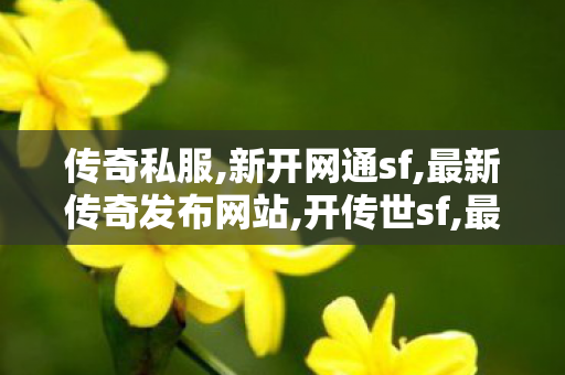 传奇私服,新开网通sf,最新传奇发布网站,开传世sf,最新传奇发布网站