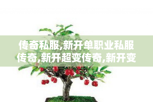 传奇私服,新开单职业私服传奇,新开超变传奇,新开变态传奇发布网,新开超变传奇