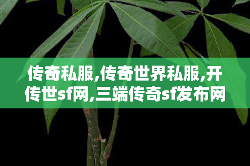 传奇私服,传奇世界私服,开传世sf网,三端传奇sf发布网,传奇世界私服发布,三端传奇sf发布网