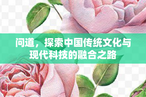 问道，探索中国传统文化与现代科技的融合之路