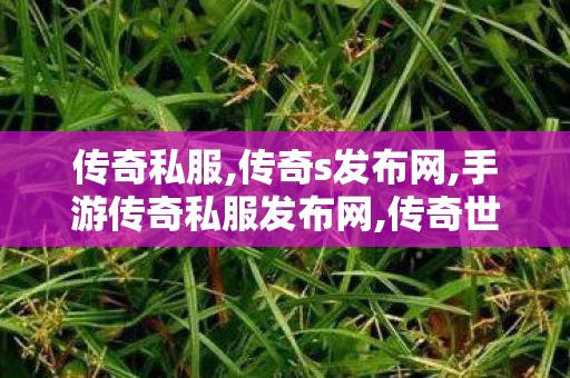 传奇私服,传奇s发布网,手游传奇私服发布网,传奇世界开服网站,手游传奇私服发布网