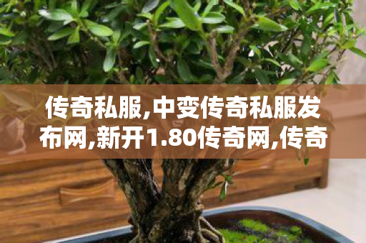传奇私服,中变传奇私服发布网,新开1.80传奇网,传奇连击私服,新开1.80传奇网