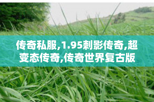 传奇私服,1.95刺影传奇,超变态传奇,传奇世界复古版本,超变态传奇