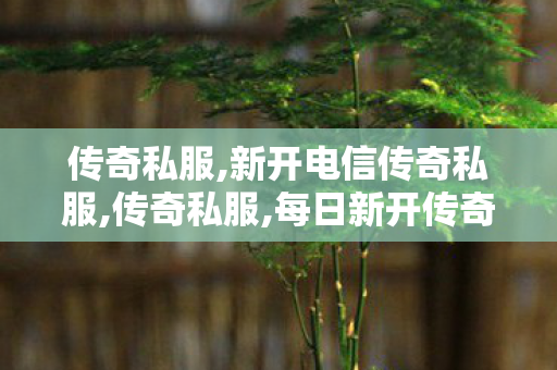 传奇私服,新开电信传奇私服,传奇私服,每日新开传奇私服,传奇私服