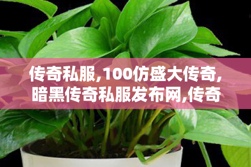 传奇私服,100仿盛大传奇,暗黑传奇私服发布网,传奇世界 sf,暗黑传奇私服发布网