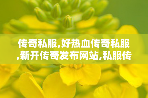 传奇私服,好热血传奇私服,新开传奇发布网站,私服传奇我本沉默,新开传奇发布网站
