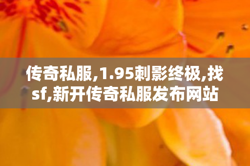 传奇私服,1.95刺影终极,找sf,新开传奇私服发布网站,找sf