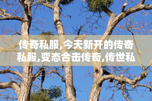传奇私服,今天新开的传奇私服,变态合击传奇,传世私服,变态合击传奇