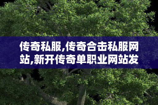 传奇私服,传奇合击私服网站,新开传奇单职业网站发布网,传奇世界新开,新开传奇单职业网站发布网