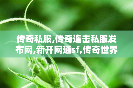 传奇私服,传奇连击私服发布网,新开网通sf,传奇世界sf 新开网站,新开网通sf
