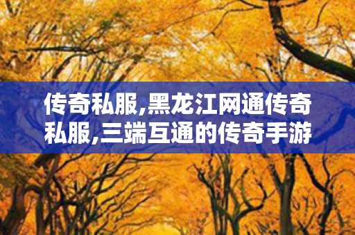 传奇私服,黑龙江网通传奇私服,三端互通的传奇手游发布网站,最新传奇私服网站,三端互通的传奇手游发布网站