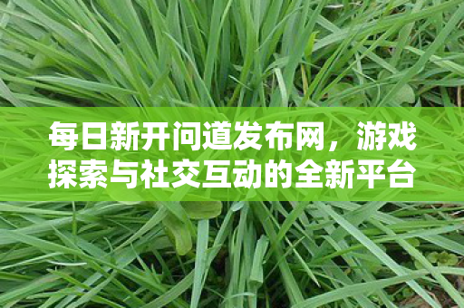 每日新开问道发布网，游戏探索与社交互动的全新平台