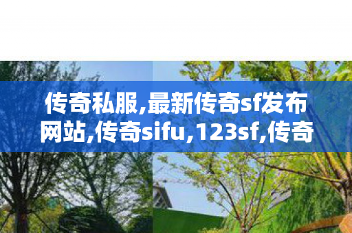 传奇私服,最新传奇sf发布网站,传奇sifu,123sf,传奇sifu