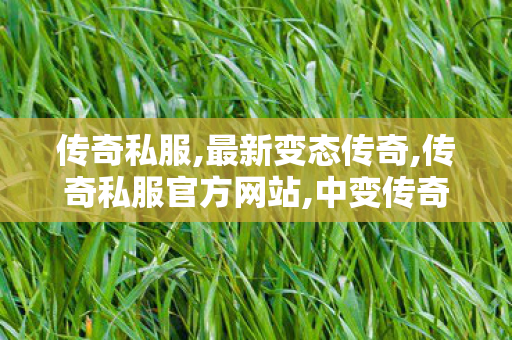 传奇私服,最新变态传奇,传奇私服官方网站,中变传奇网站新开网,传奇私服官方网站