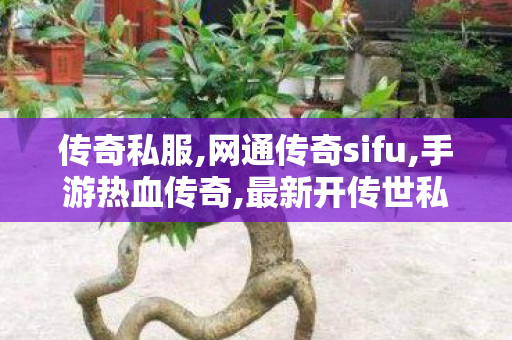 传奇私服,网通传奇sifu,手游热血传奇,最新开传世私服,手游热血传奇