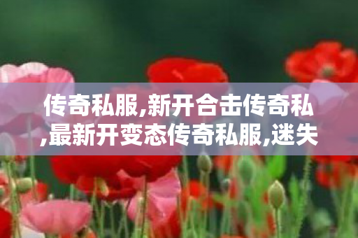 传奇私服,新开合击传奇私,最新开变态传奇私服,迷失传说正版传奇手游版,最新开变态传奇私服