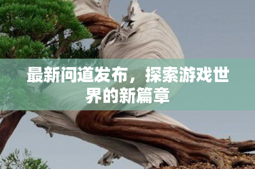 最新问道发布，探索游戏世界的新篇章