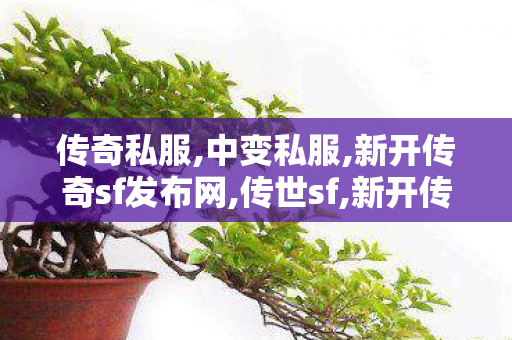 传奇私服,中变私服,新开传奇sf发布网,传世sf,新开传奇sf发布网