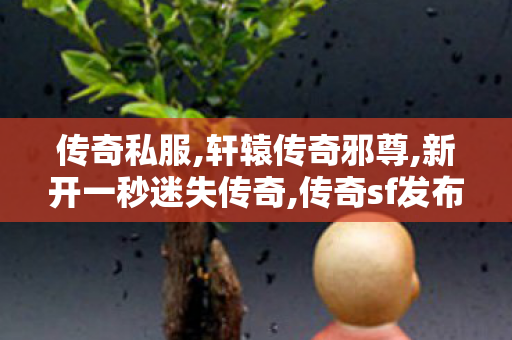 传奇私服,轩辕传奇邪尊,新开一秒迷失传奇,传奇sf发布网站,新开一秒迷失传奇
