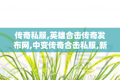 传奇私服,英雄合击传奇发布网,中变传奇合击私服,新开传奇世界sf发布网站,中变传奇合击私服