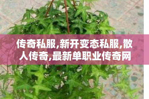传奇私服,新开变态私服,散人传奇,最新单职业传奇网站,散人传奇