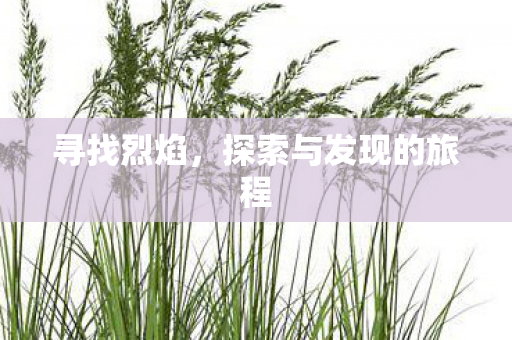 寻找烈焰，探索与发现的旅程