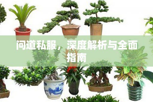 问道私服，深度解析与全面指南
