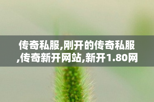 传奇私服,刚开的传奇私服,传奇新开网站,新开1.80网通,传奇新开网站