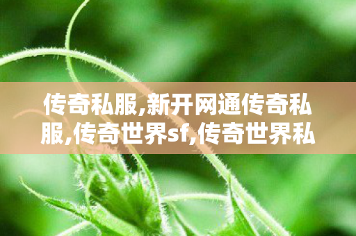 传奇私服,新开网通传奇私服,传奇世界sf,传奇世界私服网站新开网,传奇世界sf