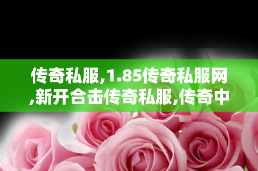 传奇私服,1.85传奇私服网,新开合击传奇私服,传奇中变,新开合击传奇私服