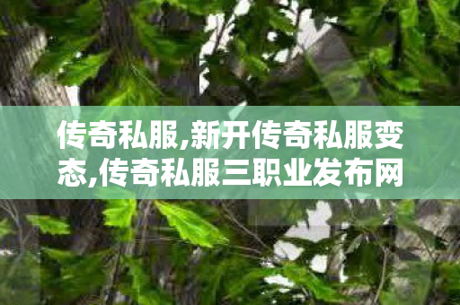 传奇私服,新开传奇私服变态,传奇私服三职业发布网,新开合击私服,传奇私服三职业发布网