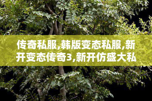 传奇私服,韩版变态私服,新开变态传奇3,新开仿盛大私服,新开变态传奇3