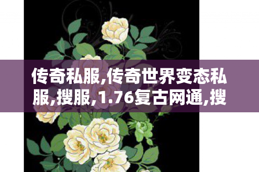 传奇私服,传奇世界变态私服,搜服,1.76复古网通,搜服