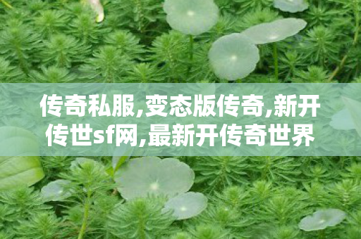 传奇私服,变态版传奇,新开传世sf网,最新开传奇世界私服,新开传世sf网