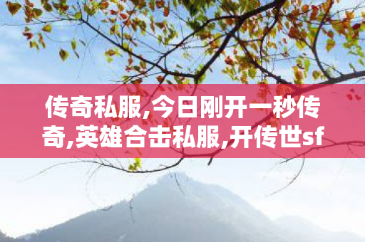 传奇私服,今日刚开一秒传奇,英雄合击私服,开传世sf,英雄合击私服