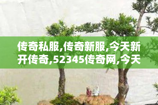 传奇私服,传奇新服,今天新开传奇,52345传奇网,今天新开传奇
