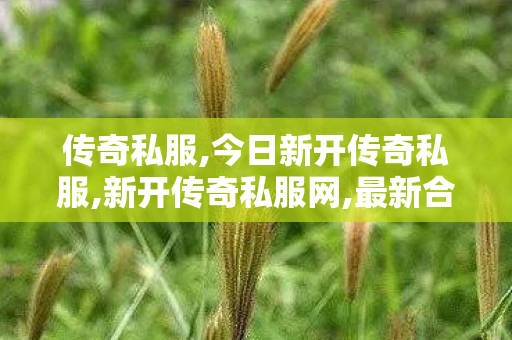 传奇私服,今日新开传奇私服,新开传奇私服网,最新合击传奇私服,新开传奇私服网