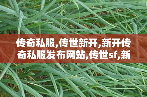 传奇私服,传世新开,新开传奇私服发布网站,传世sf,新开传奇私服发布网站