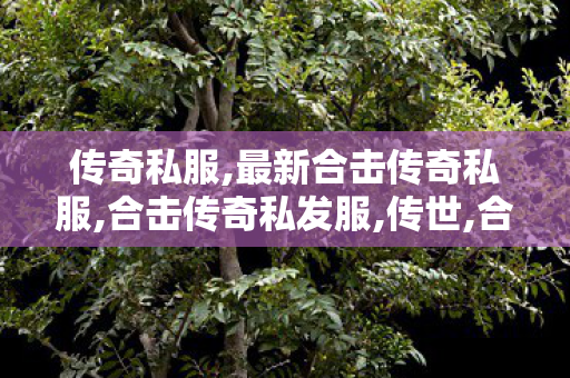 传奇私服,最新合击传奇私服,合击传奇私发服,传世,合击传奇私发服