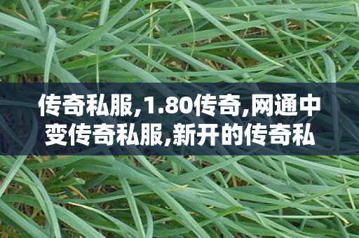 传奇私服,1.80传奇,网通中变传奇私服,新开的传奇私服,网通中变传奇私服
