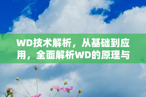WD技术解析，从基础到应用，全面解析WD的原理与功能