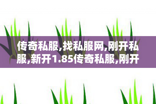 传奇私服,找私服网,刚开私服,新开1.85传奇私服,刚开私服