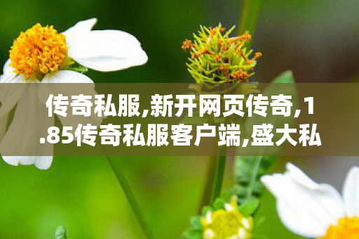 传奇私服,新开网页传奇,1.85传奇私服客户端,盛大私服传奇,1.85传奇私服客户端