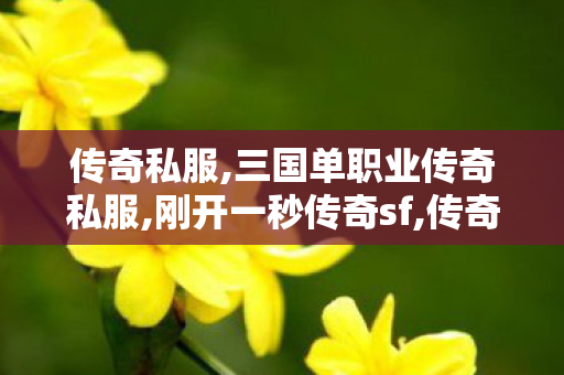 传奇私服,三国单职业传奇私服,刚开一秒传奇sf,传奇世界网站手机版,刚开一秒传奇sf
