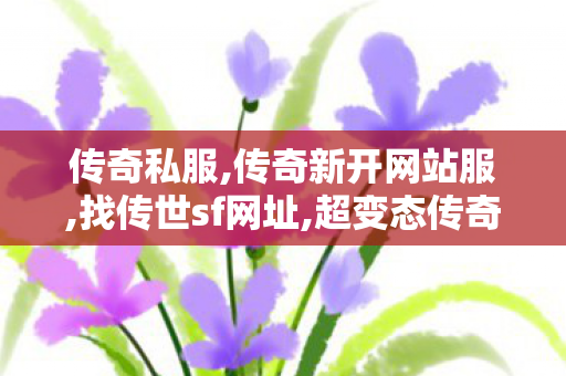 传奇私服,传奇新开网站服,找传世sf网址,超变态传奇sf,找传世sf网址