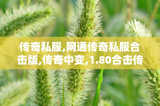 传奇私服,网通传奇私服合击版,传奇中变,1.80合击传奇私服,传奇中变