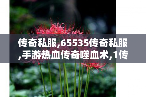 传奇私服,65535传奇私服,手游热血传奇噬血术,1传奇私服,手游热血传奇噬血术